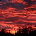 blocking the sky