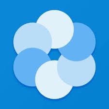 bluecoins