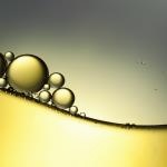 bubble translate翻译器