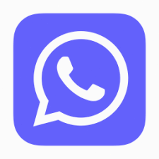 whatsapp中文