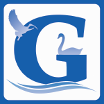 the guardian