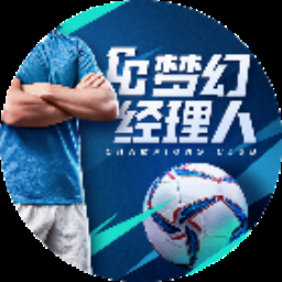 梦幻足球经理