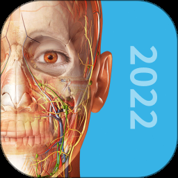 人体内脏3d解剖视频