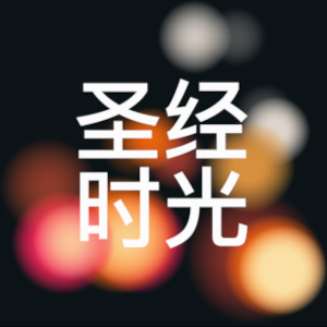 圣经下载