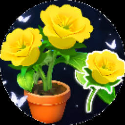 鲜花邮局云南鲜花邮全国