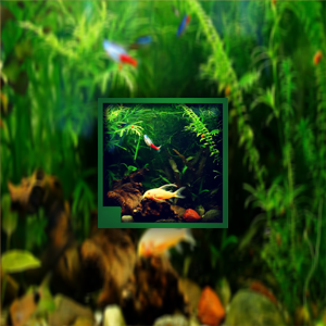 aquarium