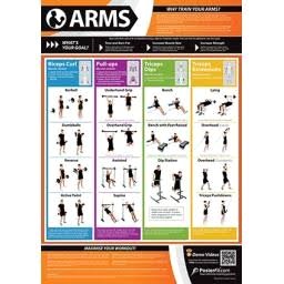 arms游戏