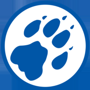 cheetah音标