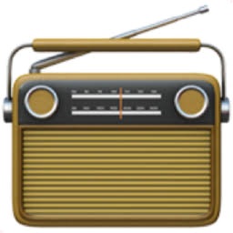 radioWindows版