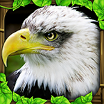 eagle 2fa