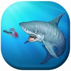 feeding frenzy