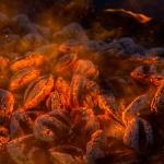 fire on fire
