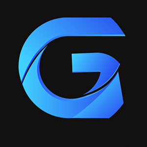 go module