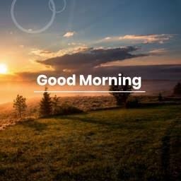 good morning beautiful