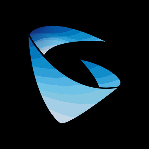 grandstream wave
