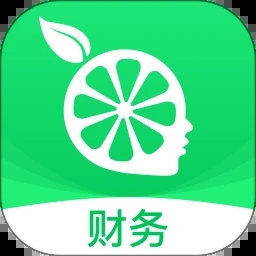 魔法记账