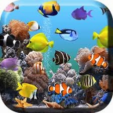 水族馆动态壁纸