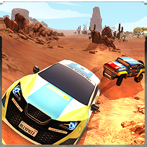 rally racer dirt