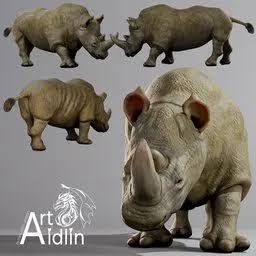 rhino