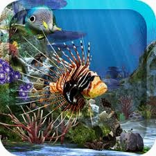 水族馆动态壁纸免费版PC版