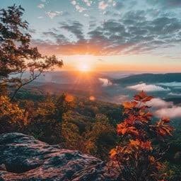sunriseview下载