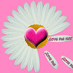 loves me not