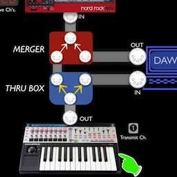 midi