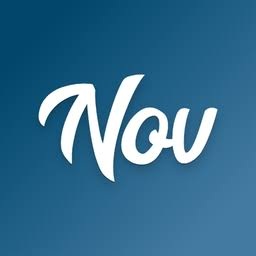 novelist音标