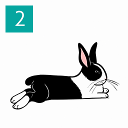 rabbitPC版高级版