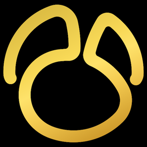 ibm data studio