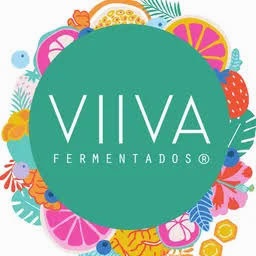 viiva公司详情英文版汉化版
